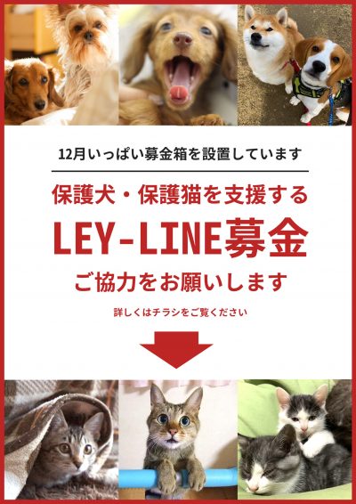 紙：202012_募金箱